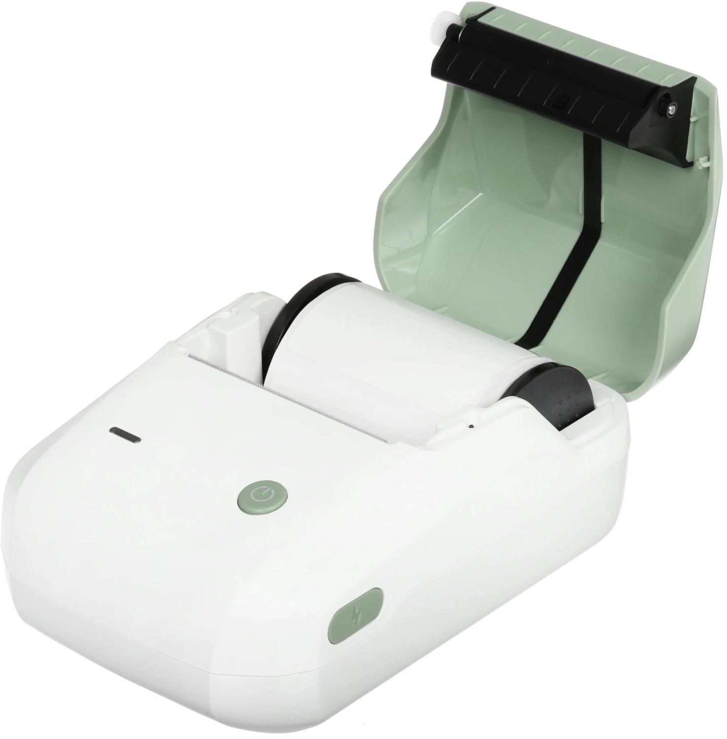 Термопринтер Niimbot B1 (1746798) 203dpi 50мм/с/USB/BT для печ.этик. зеленый
