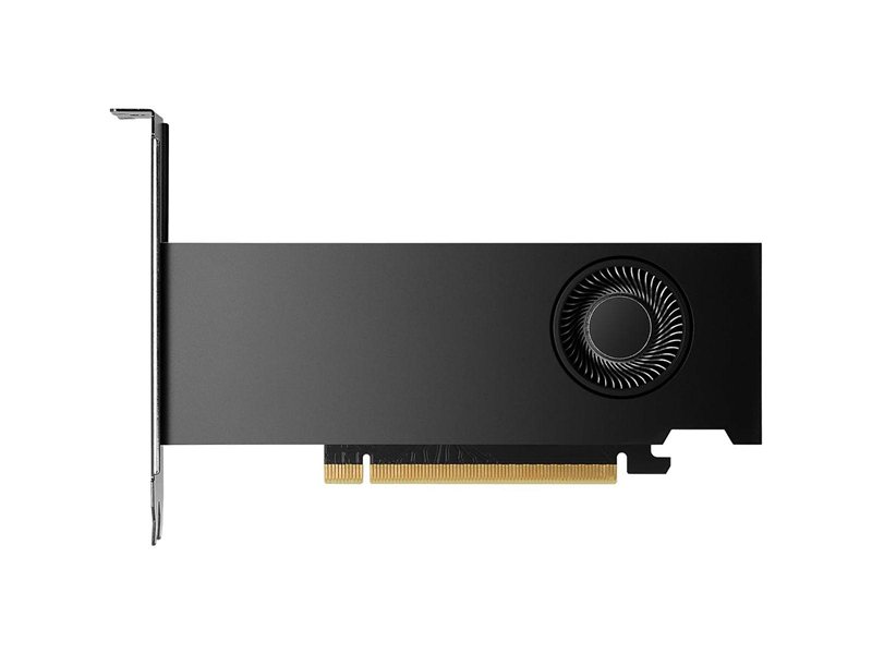 Видеокарта NVIDIA RTX 2000 ADA Graphics Cards, 16GB GDDR6 (ATX inst, LP incl), bulk