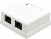 Розетка Lanmaster TWT-SM2-4545-WH RJ45 2 кат.5E бел. (упак.:1шт)