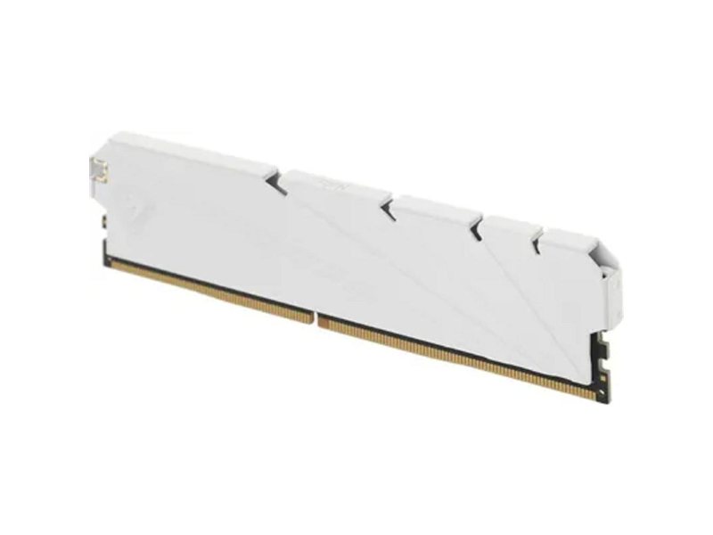 Netac DDR4 DIMM 8GB NTSSD4P32SP-08W PC4-25600, 3200MHz