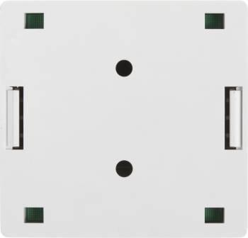 Розетка Lanmaster TWT-SM2-4545-WH RJ45 2 кат.5E бел. (упак.:1шт)