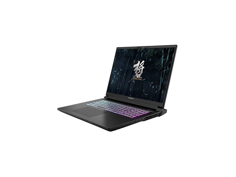 Ноутбук Colorful X18 Max-HA99A6404TJ-4EAA Intel Core Ultra 9 275HX/64Gb (2*32 D5)/SSD4Tb/RTX5090 24Gb (175W)/18"/IPS/WQXGA/2560x1600/240Hz/Win11/RJ-45/Black/3.6kg