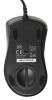 Мышь A4Tech Oscar Editor XL-747H рисунок/голубой лазерная 3600dpi USB 6but (XL-747H (BLUE SPIDER))