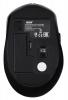 Мышь Acer OMR060 черный оптическая 1600dpi беспров. USB 6but (ZL.MCEEE.00C)