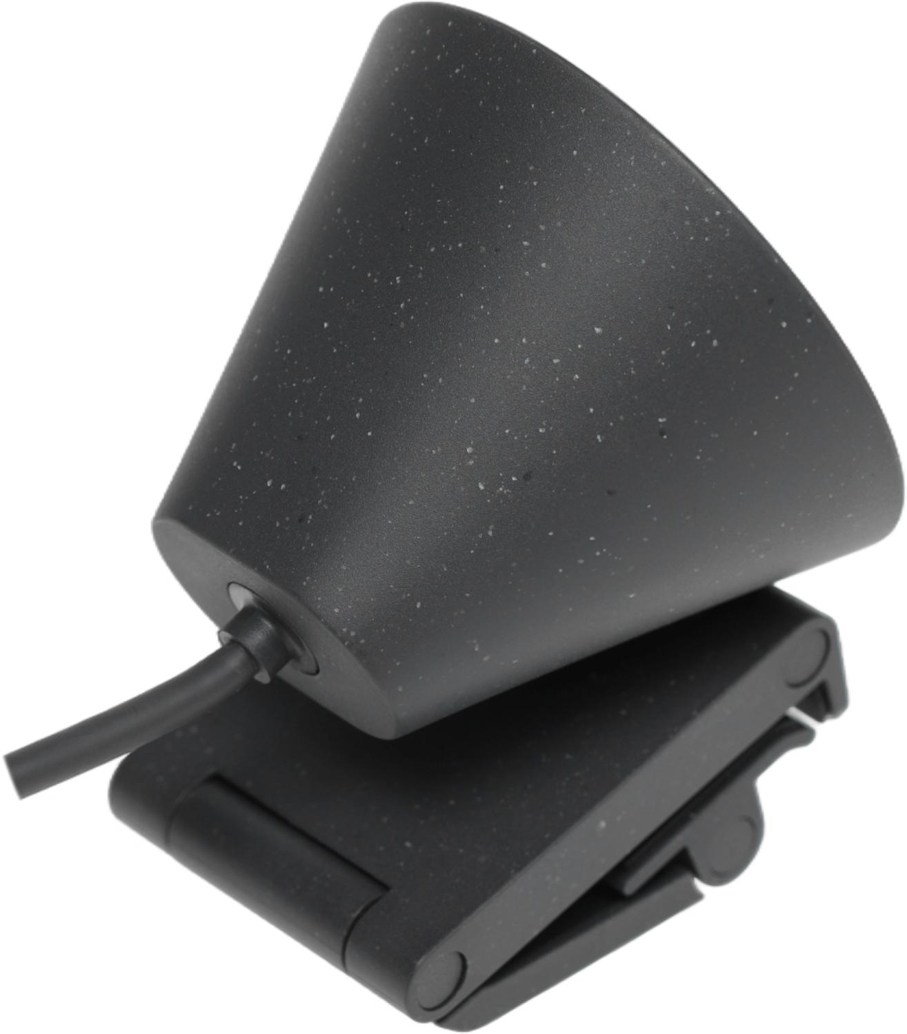 Камера Web Logitech HD Webcam Brio 300 черный 2Mpix (1920x1080) USB Type-C с микрофоном (960-001438)