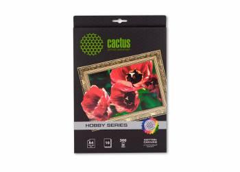 Холст Cactus CS-CA426010 A4/260г/м2/10л. для струйной печати