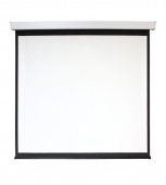 Экран Digis 135" 178x308см Electra-F DSEF-16906 16:9 настенно-потолочный рулонный белый (моторизованный привод)