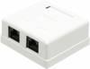 Розетка Lanmaster TWT-SM2-4545-WH RJ45 2 кат.5E бел. (упак.:1шт)