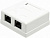 Розетка Lanmaster TWT-SM2-4545-WH RJ45 2 кат.5E бел. (упак.:1шт)